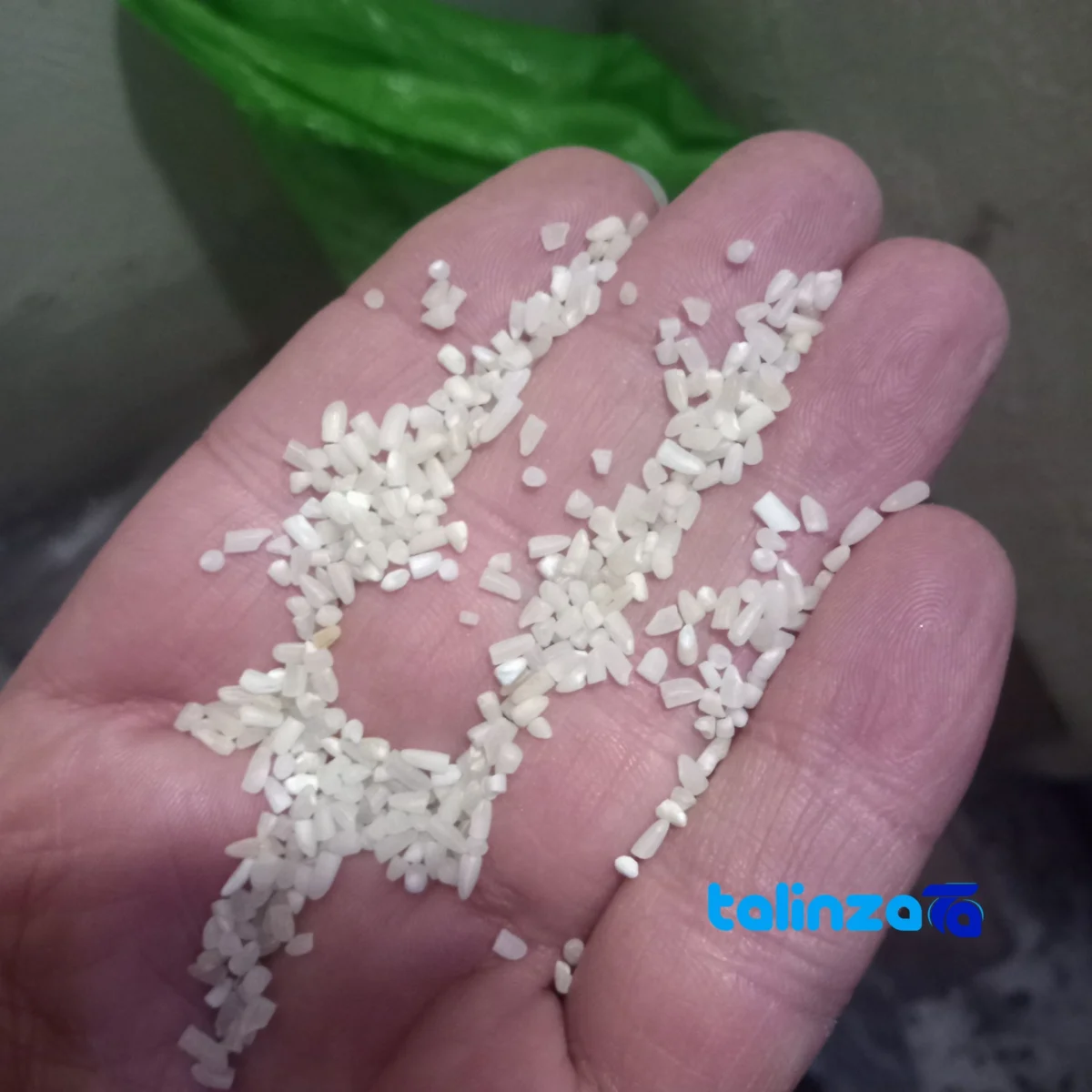 Detail view of Shiroodi Rice Semi-milled Non-fragrant Grade 1 grain close-up