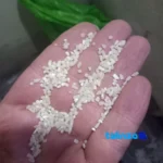 Detail view of Shiroodi Rice Semi-milled Non-fragrant Grade 1 grain close-up