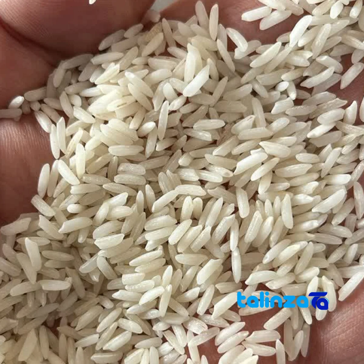 Detail view of Zarrin Khoshe Tabarestan Hashemi Rice FirstCrop Grade 1 grain close-up