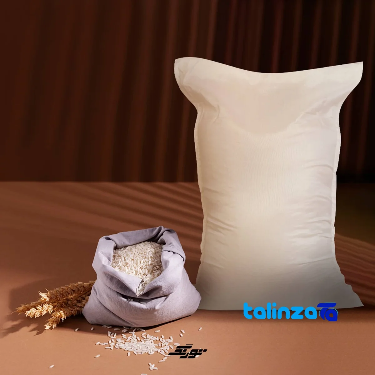 Detail view of Ariashomal Tarom Hashemi Rice Organic Grade 1 nuts close-up texture
