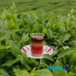 Detail view of Shomal Stem Black Tea Organic 2000 grams nuts close-up texture