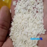Detail view of Zarrin Khoshe Tabarestan Rice Aromatic Tarom FirstHarvest nuts close-up texture