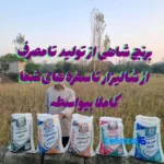 Detail view of Shahi Tarom Rice Organic Triple-sieved grain close-up