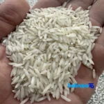 Detail view of Neda Bahareh Rice FirstHarvest Tarami Grade 1 nuts close-up texture