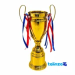 Detail view of Tandis Trophy Model IR047 Set 3 finish and material