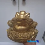 Bronze Zodiac Frog Statue Coin Design 18x18x18 cm packaging security (Seal view)
