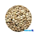 Shahdaneh Raw Hemp Seeds Premium Quality finish and material detail view)