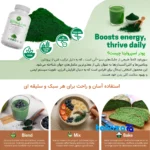 Detail view of Maxstone Spirulina Powder Organic Energy Booster finish and material
