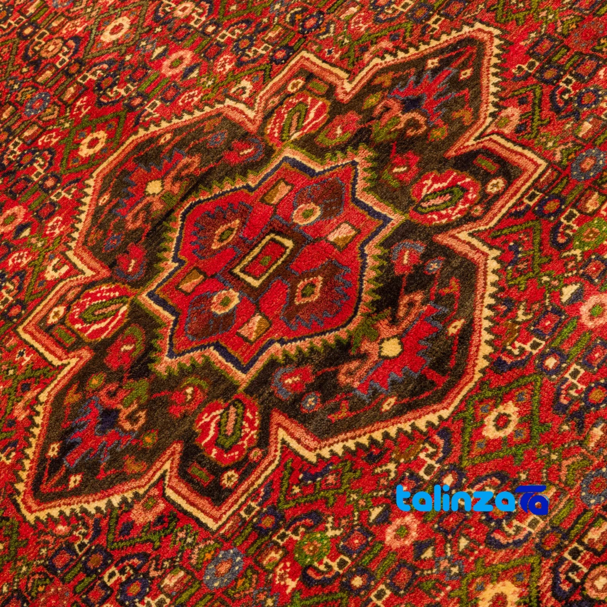 Handwoven Hamadan Area Rug Traditional Design binding and edges (Corner detail)