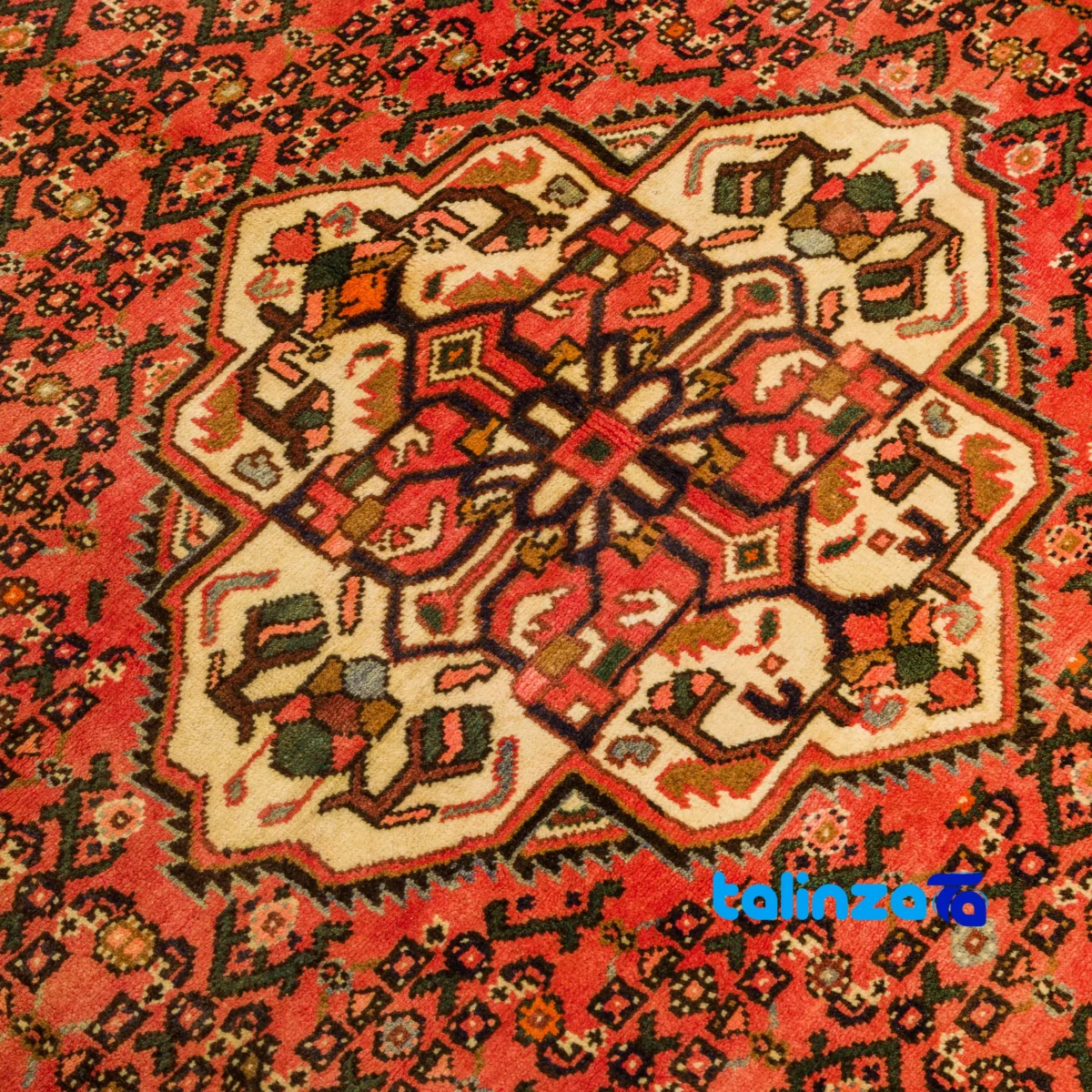 Corner detail of Hamadan Handwoven Carpet Elegant Design binding and edges