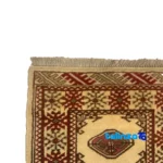 Turkmen Handwoven Rug Unique Design By hand border and finishing (Edge view)