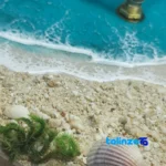 Detail view of Resin Art Wall Clock Ocean Design movement and rear mount