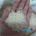 Packaging view of TaromFajr Rice Organic 10000 grams seal and bag finish