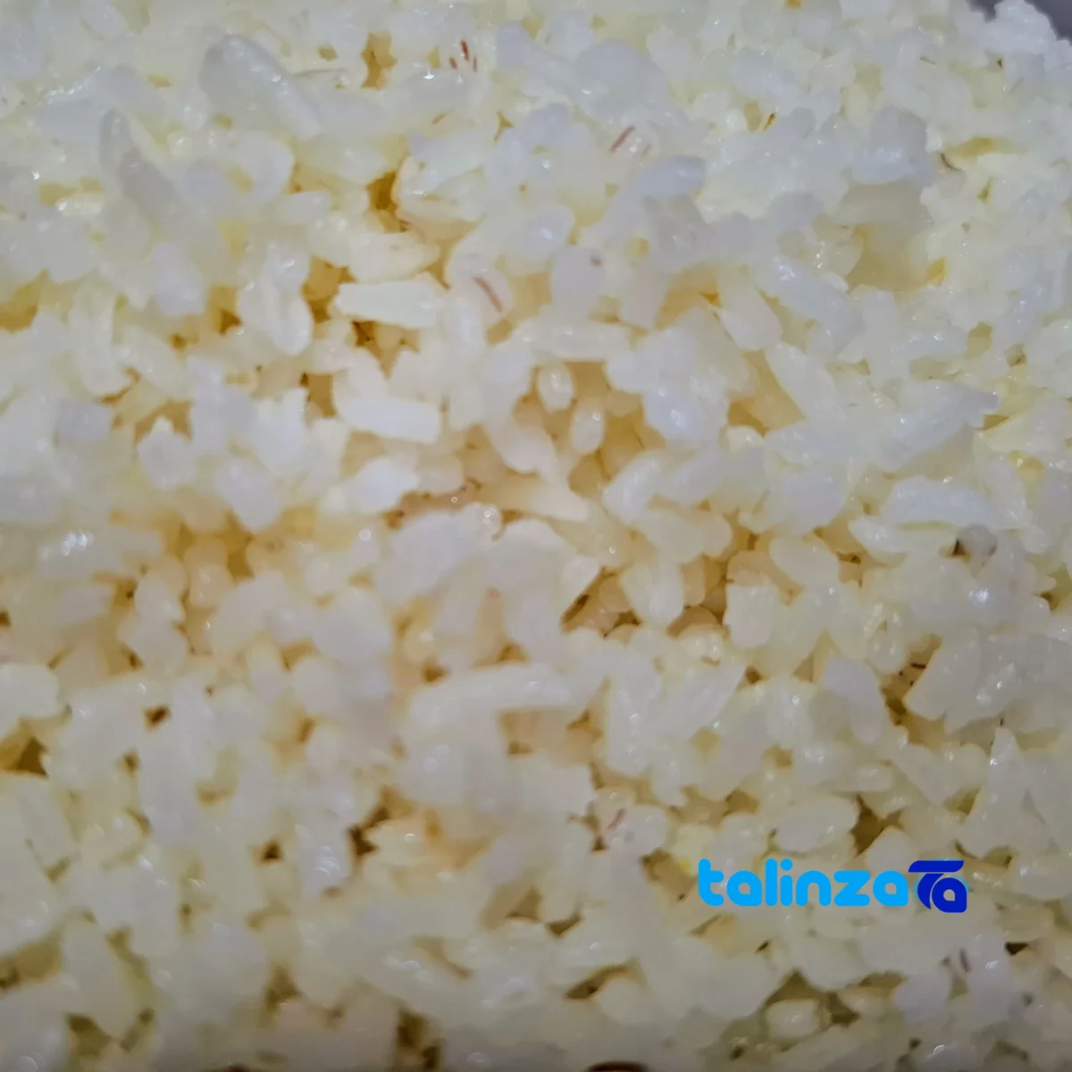 Packaging view of Varf Rice Organic Hashemi seal and bag finish
