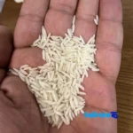 Packaging view of ZarrinKhoshe Tabarestan Rice BlackTip Grade 1 seal and bag finish