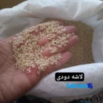 Packaging view of Nasl Noorani Rice Hashemi Smoked Grade 1 seal and bag finish