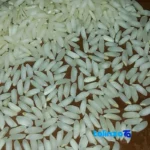 Packaging view of Anbarbu Rice Aromatic Organic Grade 1 seal and bag finish