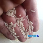 Packaging view of Hashemi Rice Organic Premium bag seal and material