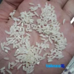 Packaging view of Hashemi Rice Large Grain Organic Grade 1 seal and bag finish