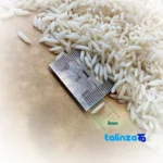 Packaging view of Noor Hashemi Rice Organic Grade 1 seal and bag finish