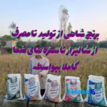 Packaging view of Shahi Taromi Rice Organic Three sieving passes bag seal and material