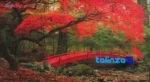 Edge view of Naghar Razavi Machine-Woven Carpet Landscape Art border and finishing