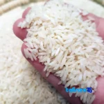 Serving view of Himeh Tarom Rice Ivory Regular Wholegrain White snack bowl idea