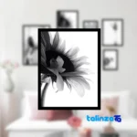 B-1108 Decorative Wall Art Set - Black and White Wall-mounted - Side view showing profile structure