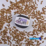 Side view of Akbar Rastgo Dried Mulberries Natural Snack 200 grams profile and structure