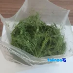 Shiva Dried Dill Flowers Whole leaves profile and structure (Side view)
