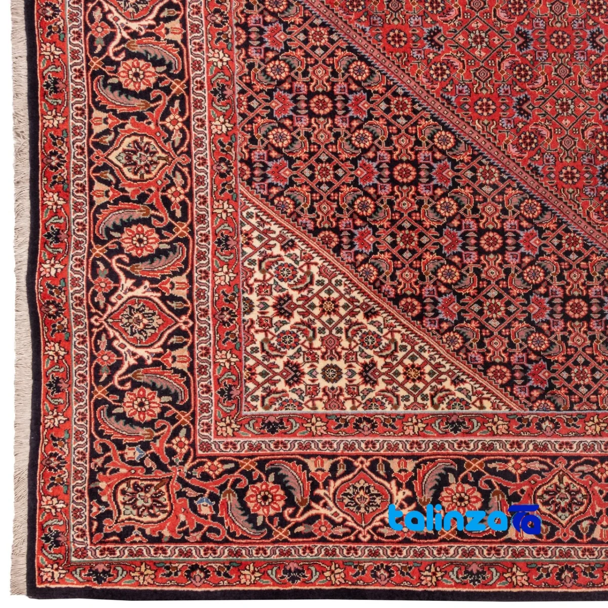Cypress Persian Handwoven Rug Red 255x248x2 cm room styling and scale (In-room view)