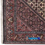Cypressia Handwoven Rug Traditional Design Cream - In-room view showing room styling and scale