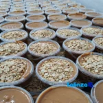 Sparras Crunchy Diet Peanut Butter - Side view showing profile and structure