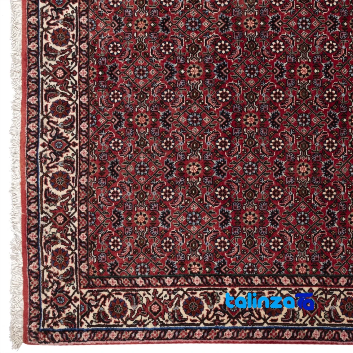 Cypress Handwoven Carpet Rectangular Luxurious Red - In-room view showing room styling and scale