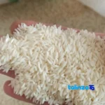 Front view of Mazandaran Tarom Aromatic Rice 10000 grams bag label and weight