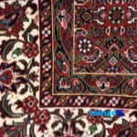 Bijar Handwoven Area Rug Colorful Design pattern and color tone (Top view)