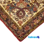 Bijar Handwoven Rug Unique Design - Top view showing pattern and color tone