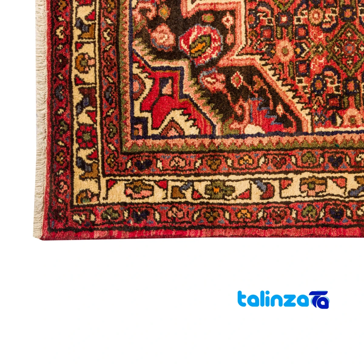Handwoven Hamadan Area Rug Traditional Design - Top view showing pattern and color tone