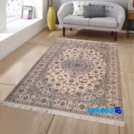 Nain Handwoven Carpet Design D - Full spread showing overall layout
