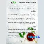 Packaging view of Behras Black Tea Organic Royal 900 grams label details and pack finish