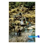 Detail view of Handmade Carpet Wall Art Miniature Landscape Design pile texture close-up