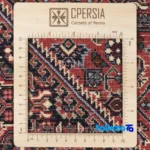 Detail view of Cypressia Handwoven Rug Traditional Design Cream pile texture close-up