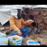 Natural Sadeh Honey - Premium Quality Dark Amber label and packaging view)