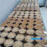 Masoud Crunchy Peanut Butter Diet Homemade, Sugar-Free, Plain label and packaging view)