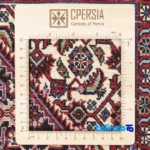 Si Persia Handwoven Rug Red - Detail view showing pile texture close-up