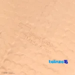 Zanjan Copper Tray Handcrafted Engraved Design label and packaging view)