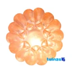 Fakher Copper Fruit Bowl Diamond Engraved - Packaging view showing label and