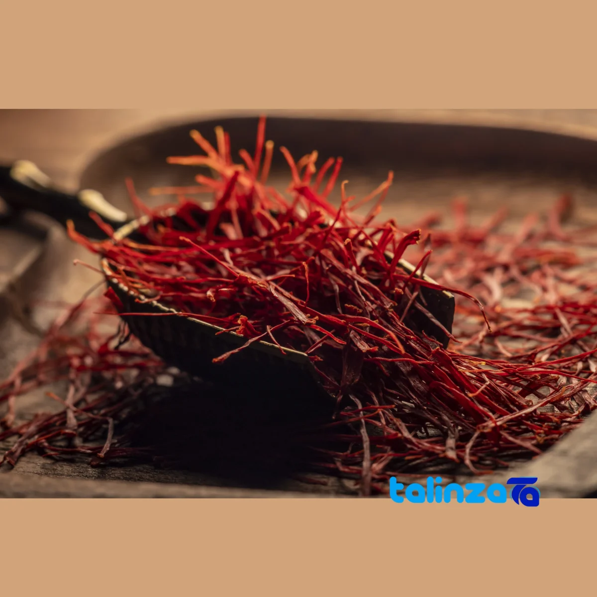 Close-up of Mehrazar Super Negin Saffron Premium Quality strand