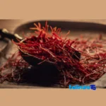 Close-up of Mehrazar Super Negin Saffron Premium Quality strand