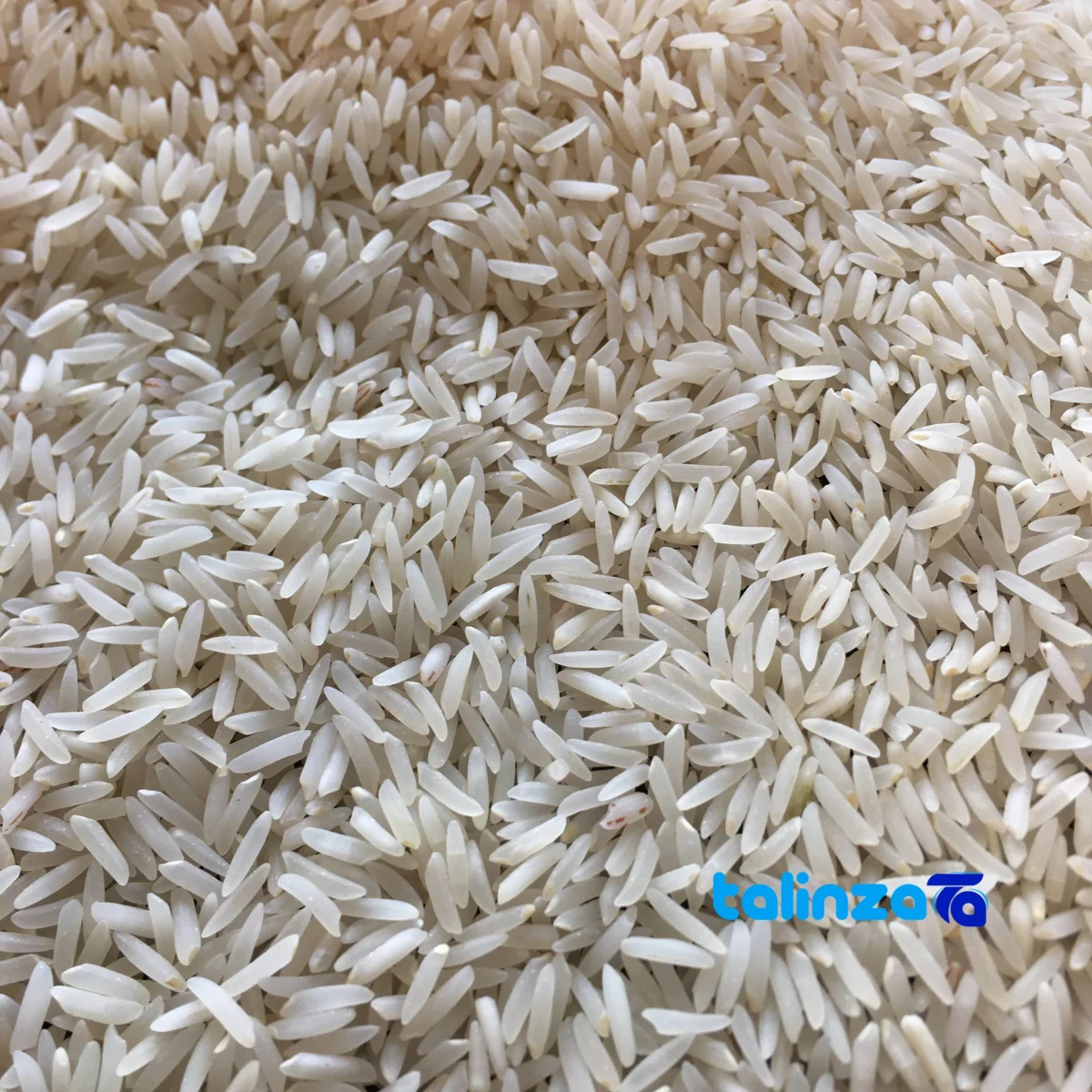 Detail view of Fajr Golchin Gorgan Rice Organic White nuts close-up texture